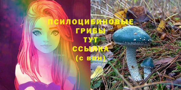 a pvp Абинск