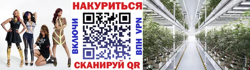 мега ссылка Оренбург МАРИХУАНА ГИДРОПОН
